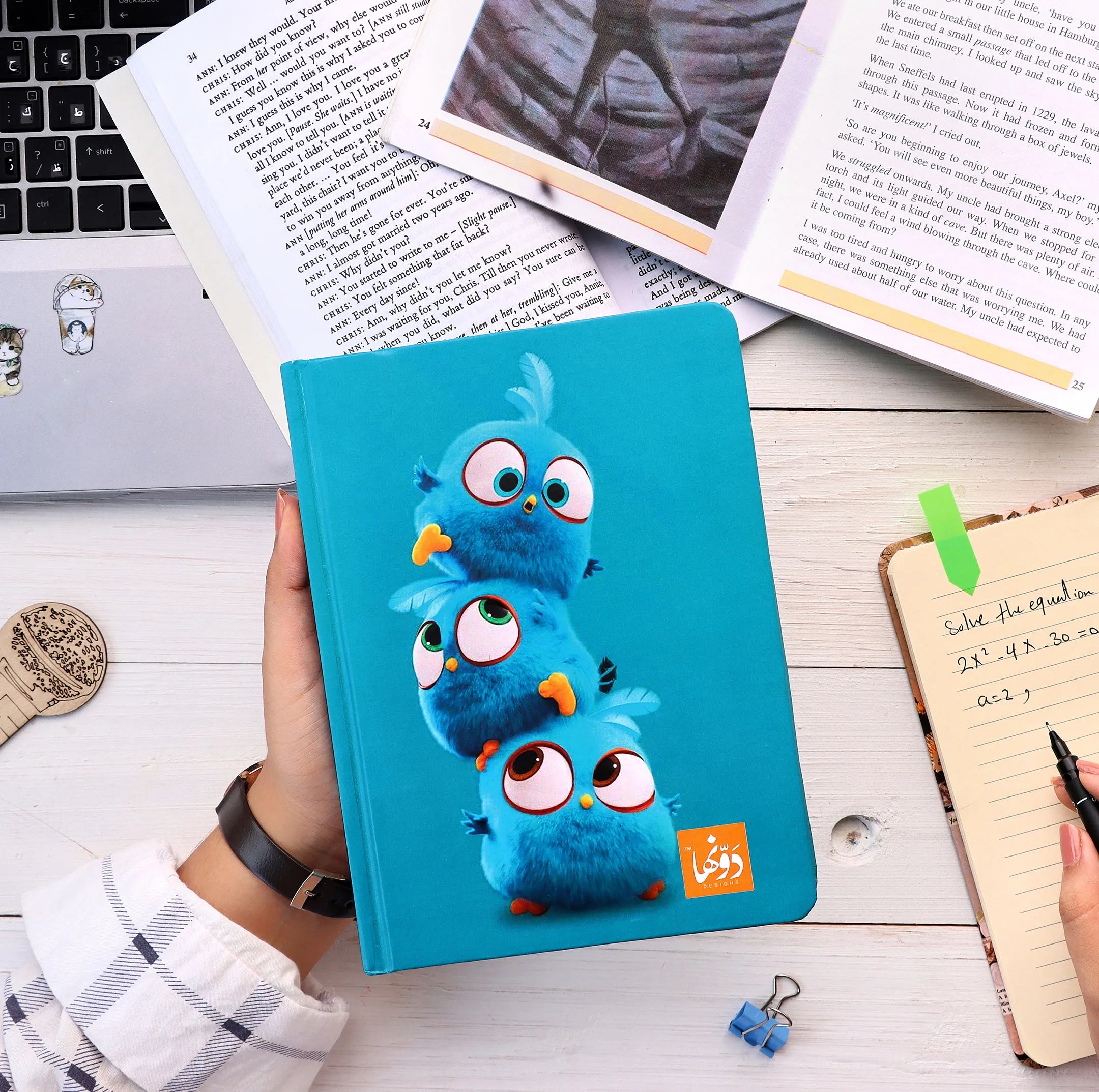 Angry Birds | SafeZone Notebook (Wired/HardCover)